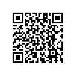 RT1206CRD076K04L QRCode