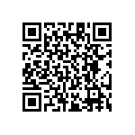 RT1206CRE0717K4L QRCode