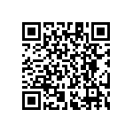 RT1206CRE076K19L QRCode