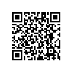 RT1206CRE0790K9L QRCode