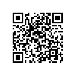 RT1206CRE07910RL QRCode