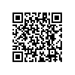 RT1206DRD07102RL QRCode