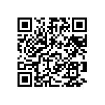 RT1206DRD0727KL QRCode