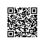 RT1206DRD073K01L QRCode