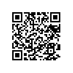 RT1206DRD07402KL QRCode