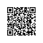 RT1206DRD0747RL QRCode