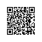 RT1206DRD0768K1L QRCode