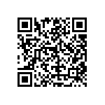 RT1206DRD076K19L QRCode