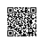 RT1206DRD07825RL QRCode