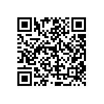 RT1206DRD07887RL QRCode