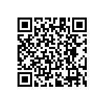 RT1206DRE0728R7L QRCode