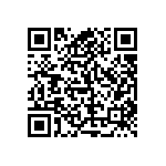 RT1206FRD0747RL QRCode