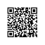 RT1206FRD0782RL QRCode