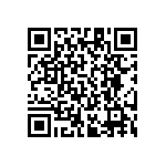 RT1206FRE07243RL QRCode