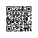 RT1206WRB0718K2L QRCode