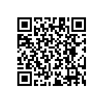 RT1206WRB0719K1L QRCode