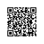 RT1206WRB07953RL QRCode