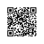 RT1206WRD078K06L QRCode