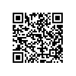 RT1206WRD079K09L QRCode