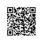 RT1210WRB074K99L QRCode