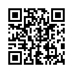 RT12C2L101 QRCode