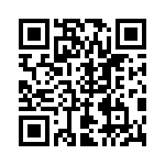 RT22C2L101 QRCode