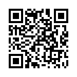 RT22C2L501 QRCode