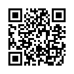 RT22C2W103M QRCode