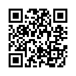 RT22C2X203 QRCode