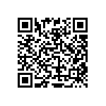 RT2512BKE0729R4L QRCode