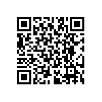 RT2512BKE07383RL QRCode