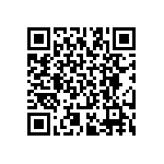 RT2512BKE073K09L QRCode