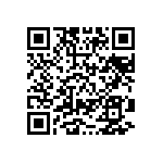 RT2512BKE0771R5L QRCode