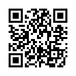 RT334005 QRCode