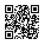 RT4S4T30 QRCode