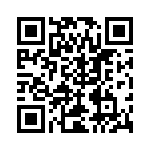 RT8024GB QRCode