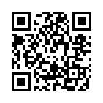 RT8203GA QRCode