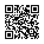 RT9041A-10GE QRCode