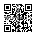 RT9167-47GB QRCode