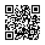 RT9169-12GV QRCode