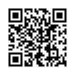 RT9750WSC QRCode