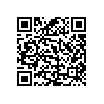 RWR80S5R11FRB12 QRCode