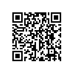 RWR81N1R33FSS73 QRCode