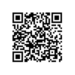 RWR81N2870FRBSL QRCode