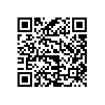 RWR81S13R3FRB12 QRCode