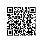 SMBG5338CE3-TR13 QRCode