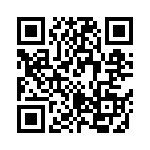 STM32F100ZET6B QRCode