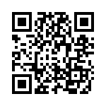 T-4 QRCode