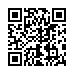 T101MH9AQE QRCode