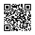 T101P3TZQE QRCode